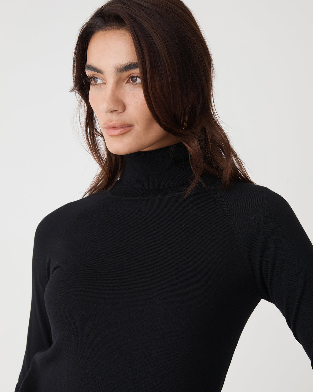 Clarisse Turtleneck Sweater