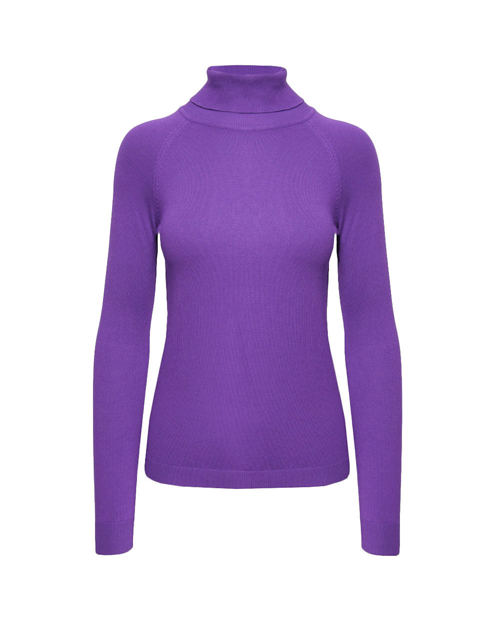 Clarisse Turtleneck Sweater