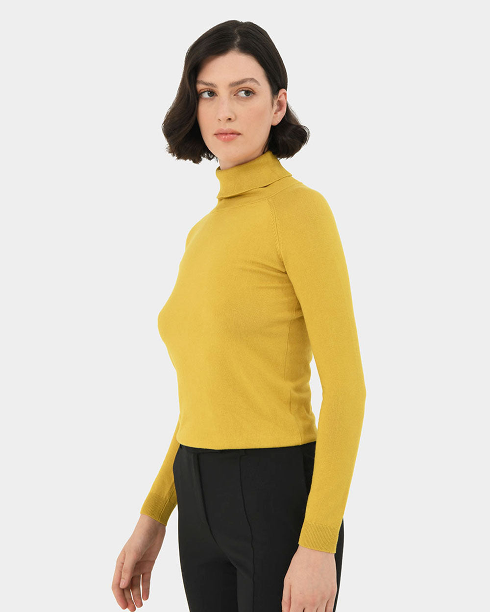 Clarisse Turtleneck Sweater