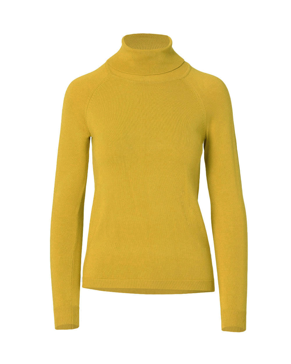 Clarisse Turtleneck Sweater