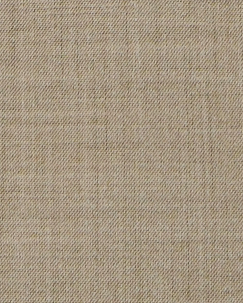 Charis Pleat Front Pants