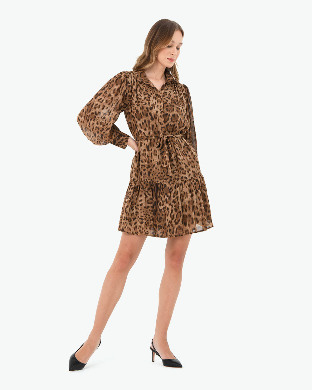 Aleen Animal Print Dress