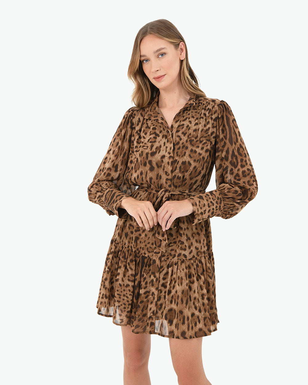 Aleen Animal Print Dress