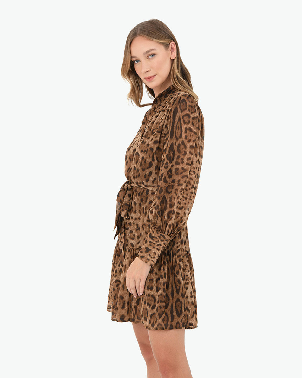 Aleen Animal Print Dress