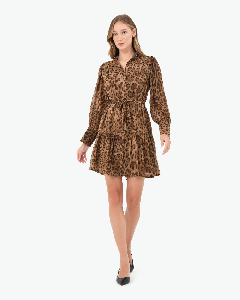 Aleen Animal Print Dress