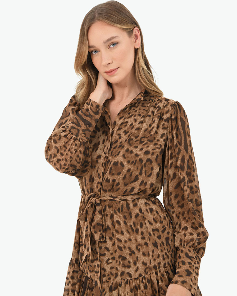 Aleen Animal Print Dress