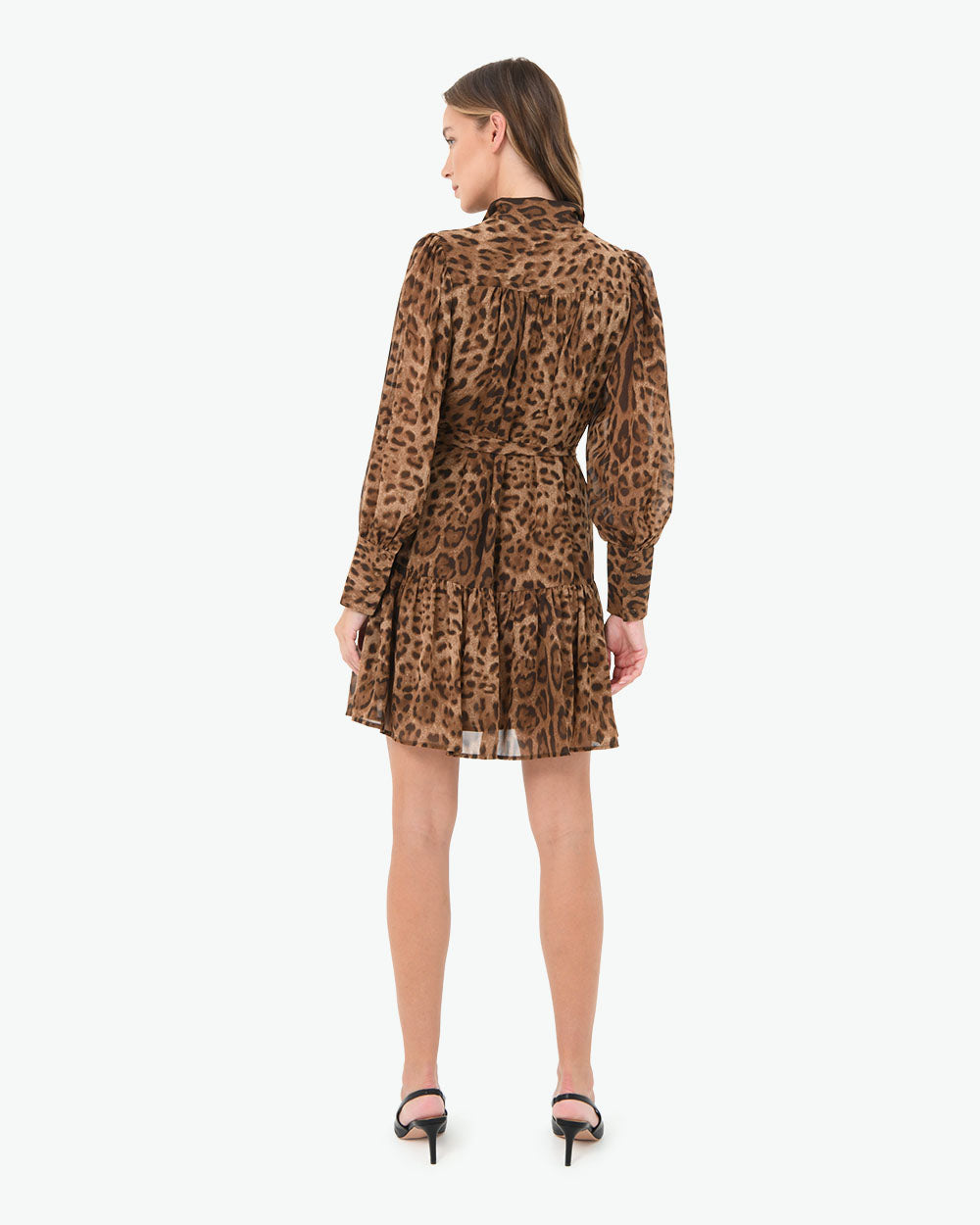 Aleen Animal Print Dress