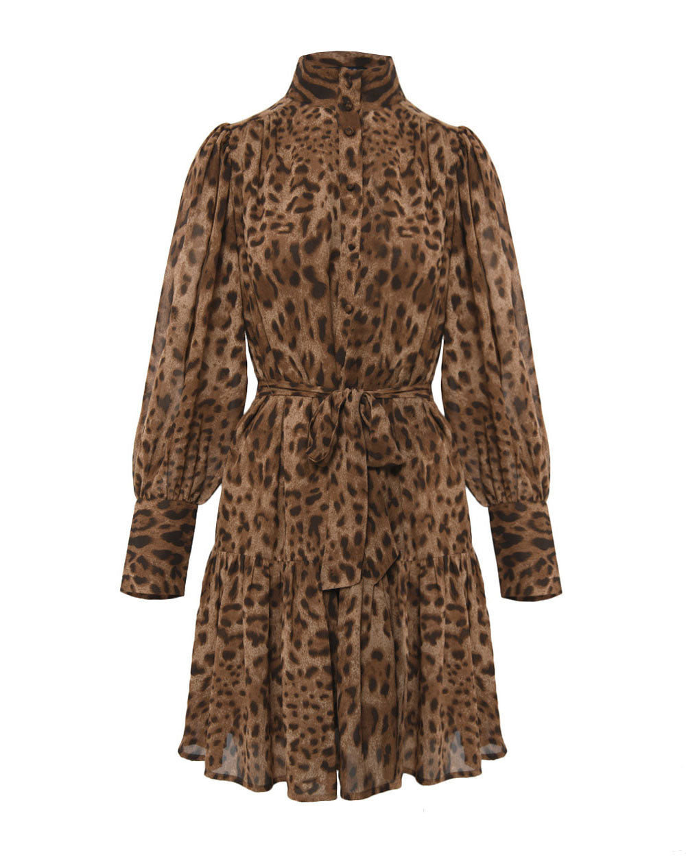 Aleen Animal Print Dress