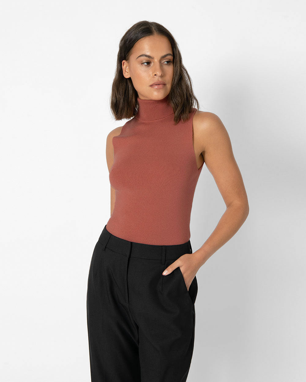 Susan Turtleneck Knit