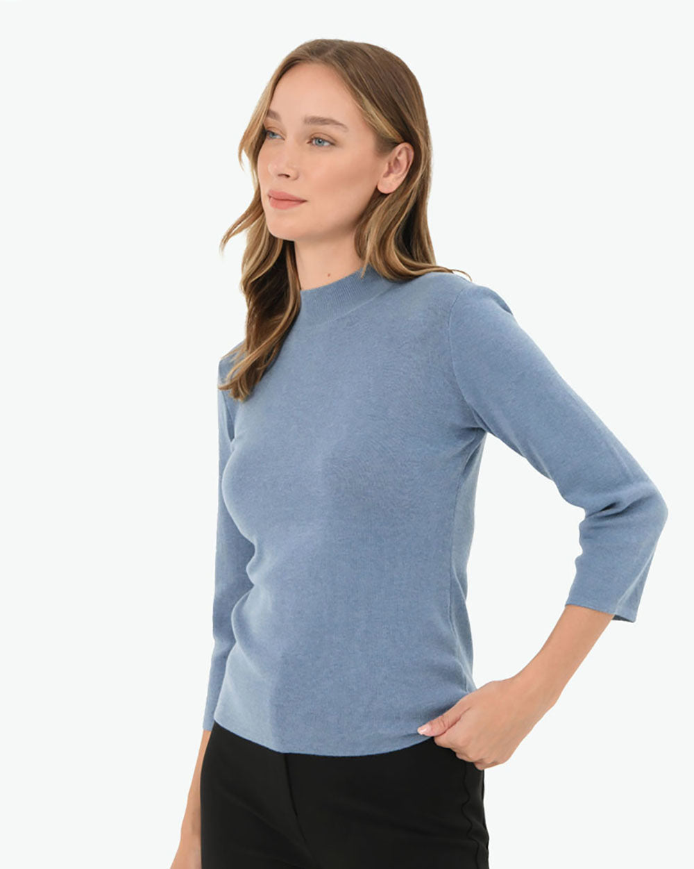 Ellette Mock Neck Knit