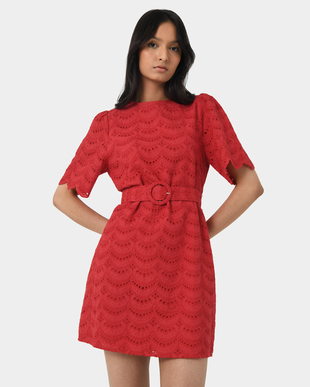 Ileana Embroidered Dress