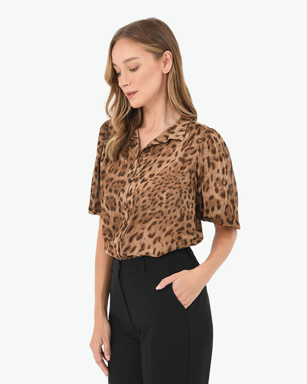 Aleen Animal Print Blouse