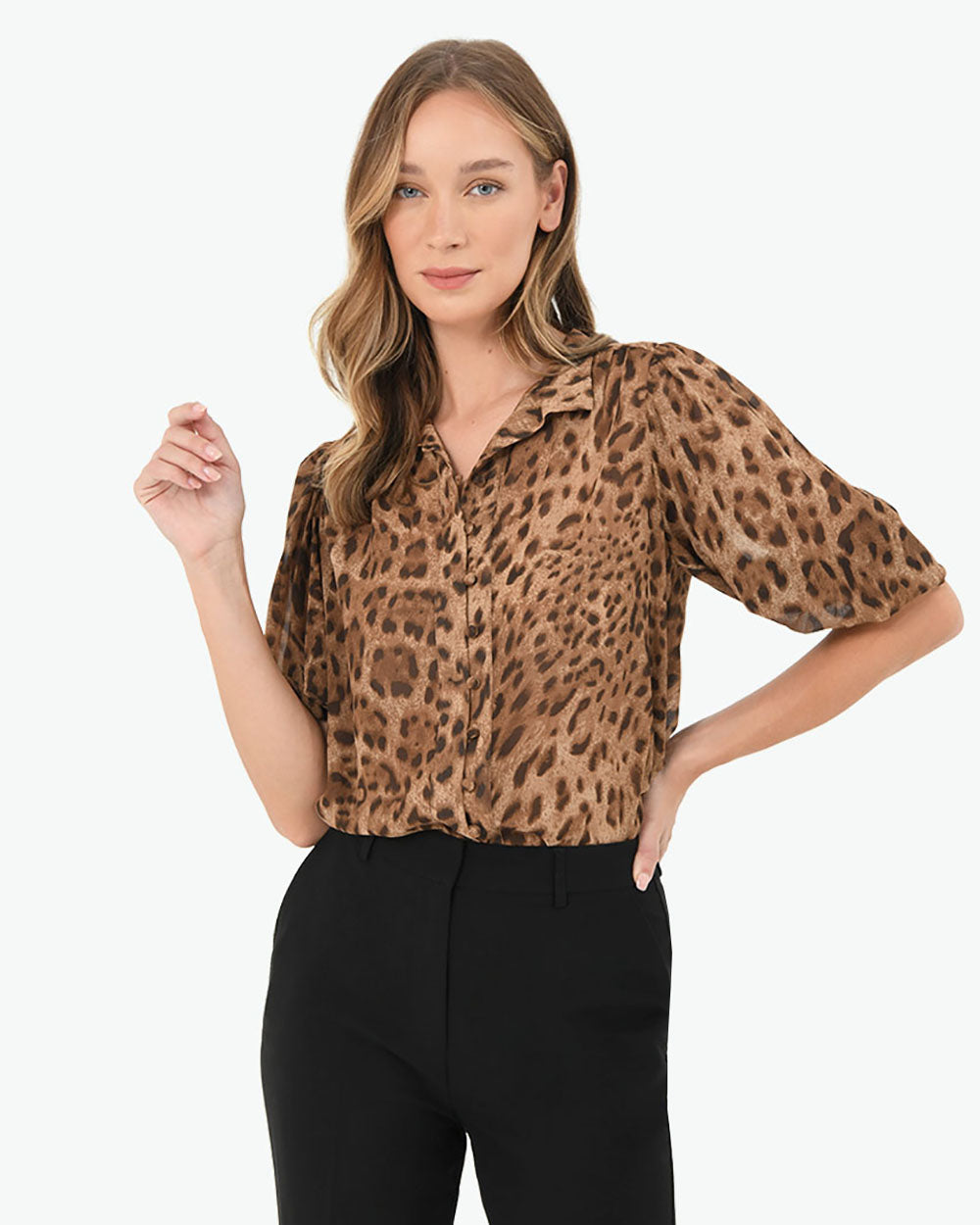 Aleen Animal Print Blouse