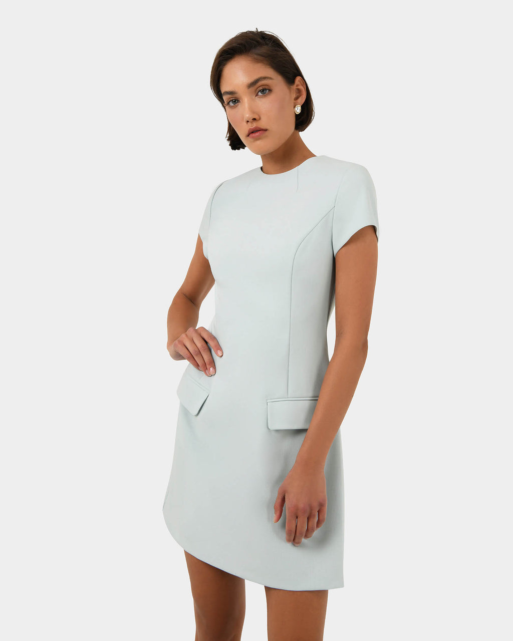 Sofia Panel Tailored Dress