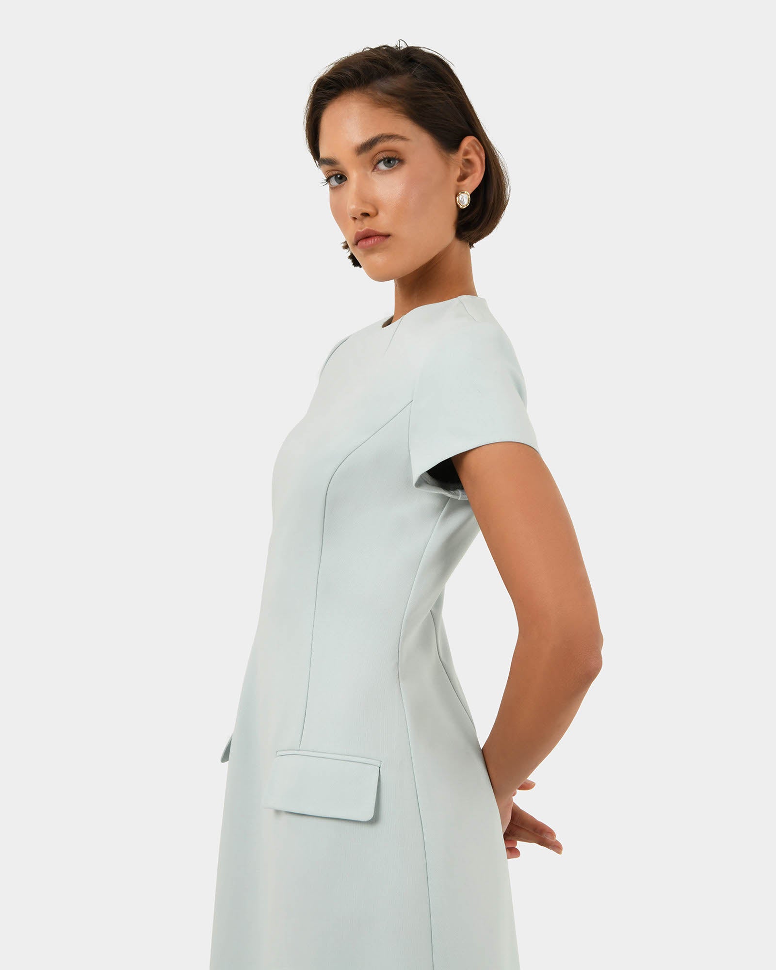 Sofia Panel Tailored Dress