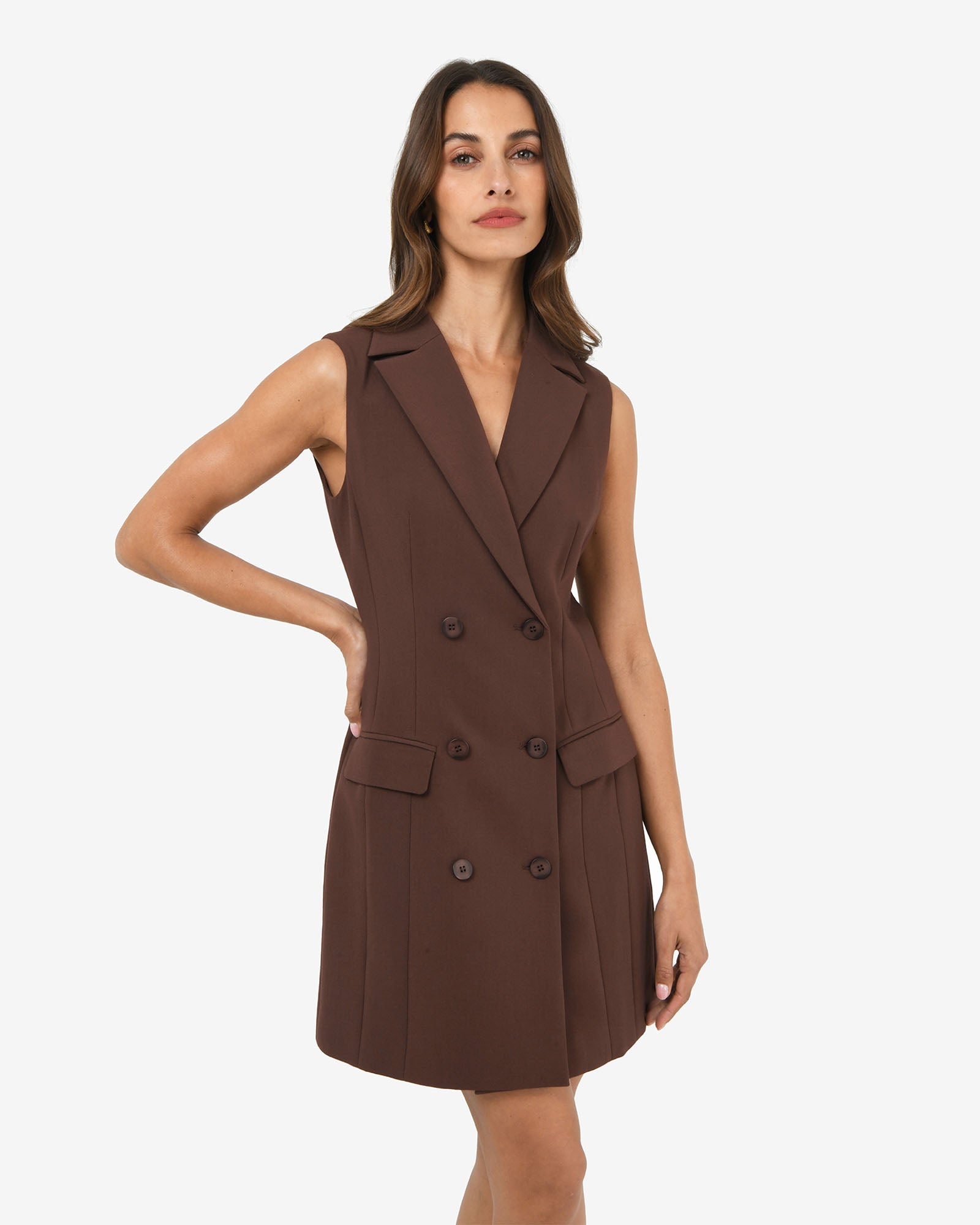 Nikki Double Breasted Dress