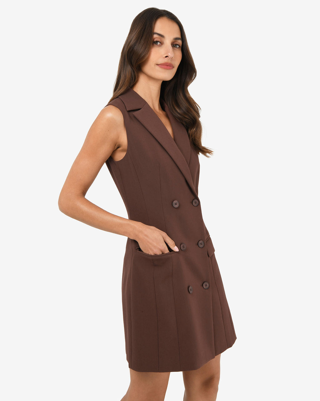 Nikki Double Breasted Dress
