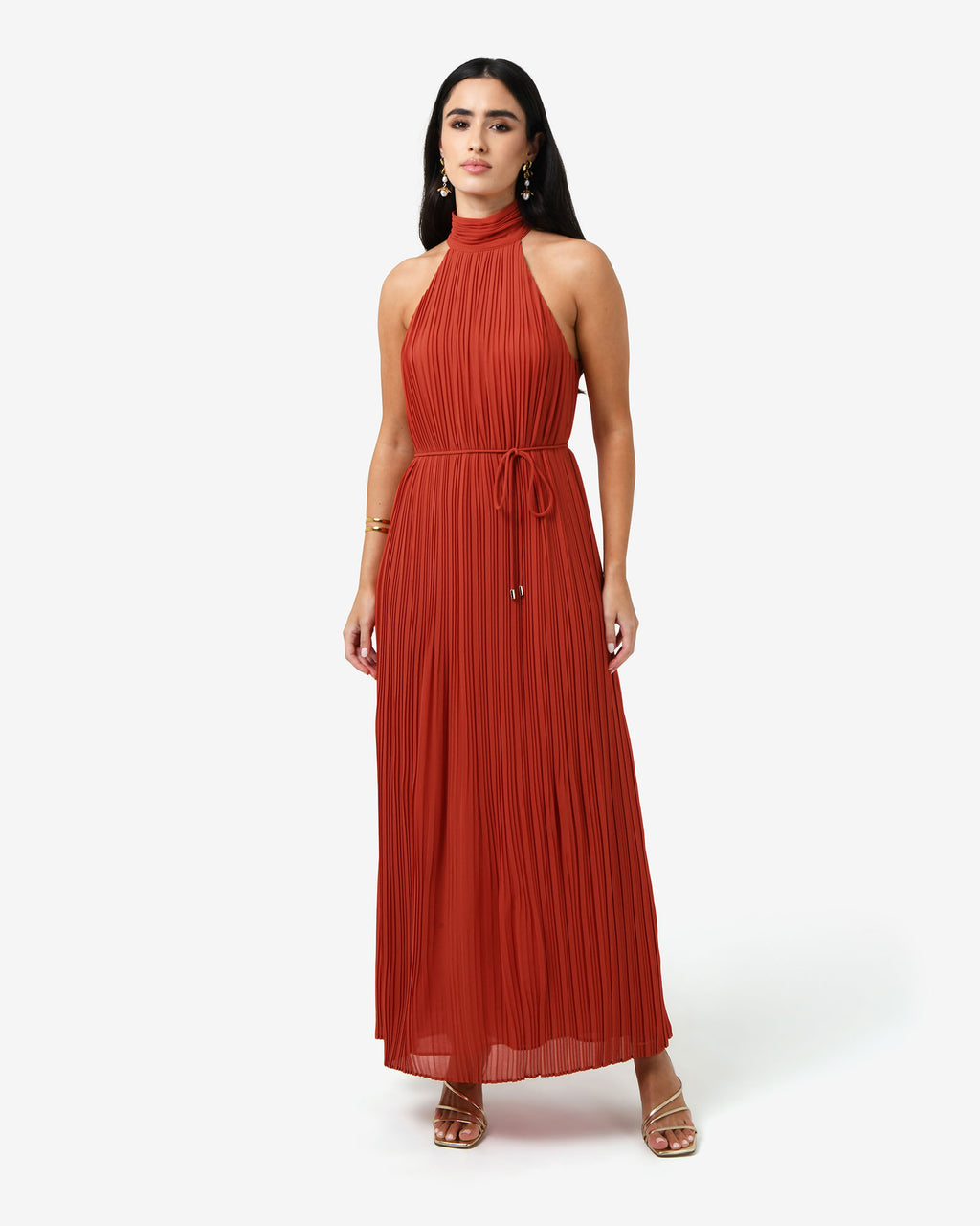 Shelly Chiffon Pleated Dress