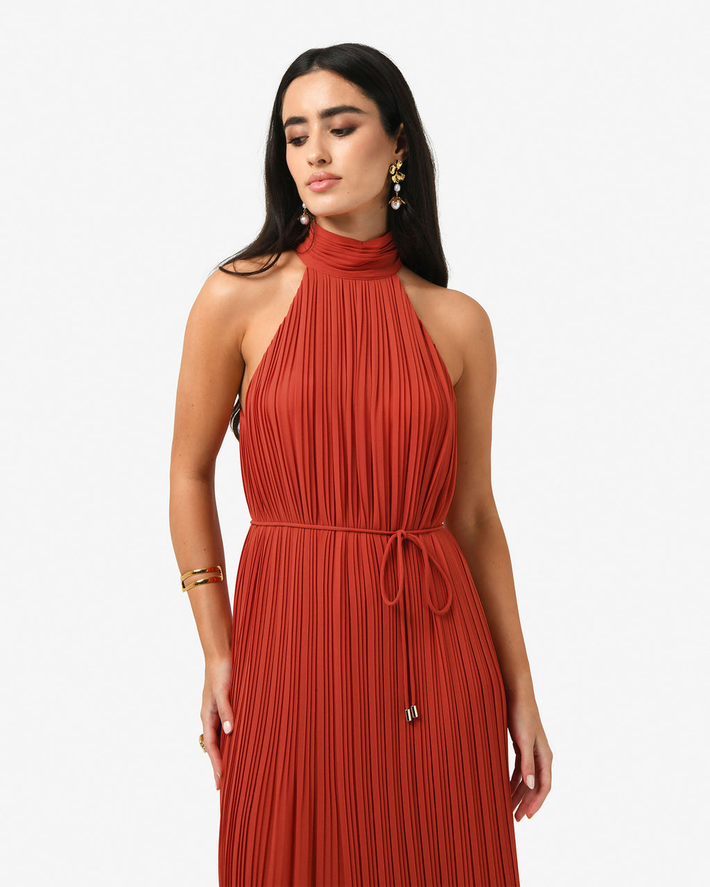 Shelly Chiffon Pleated Dress