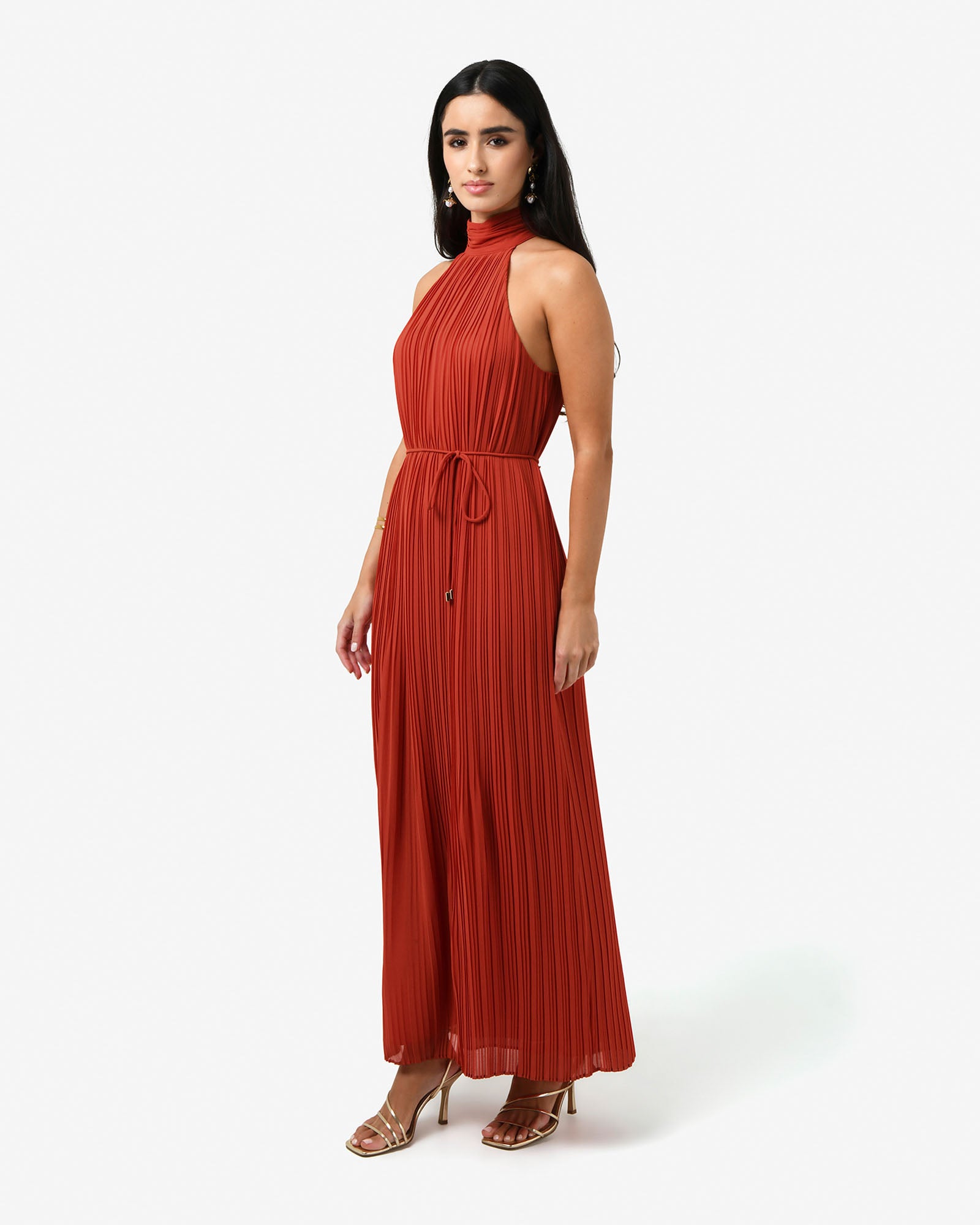 Shelly Chiffon Pleated Dress