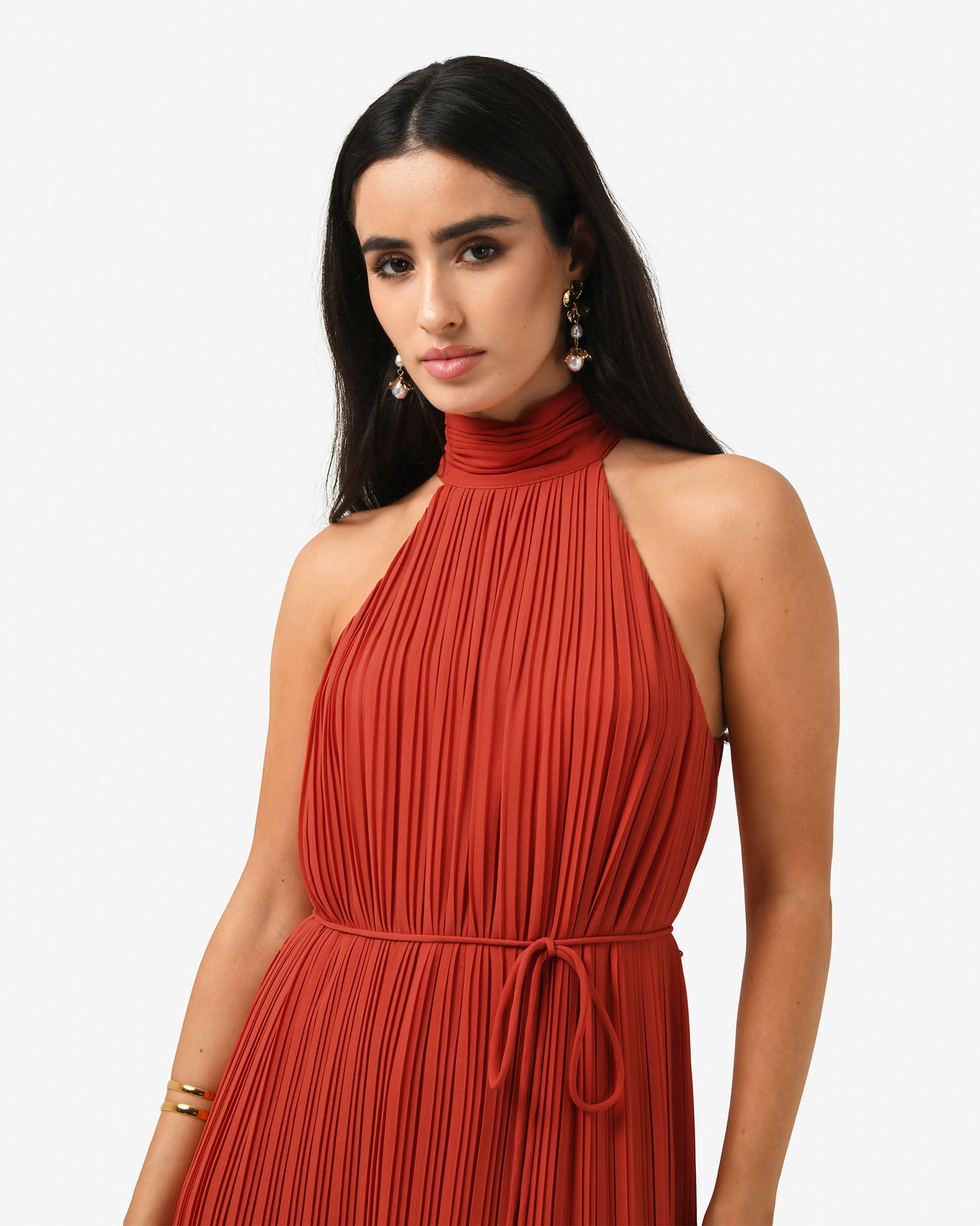 Shelly Chiffon Pleated Dress
