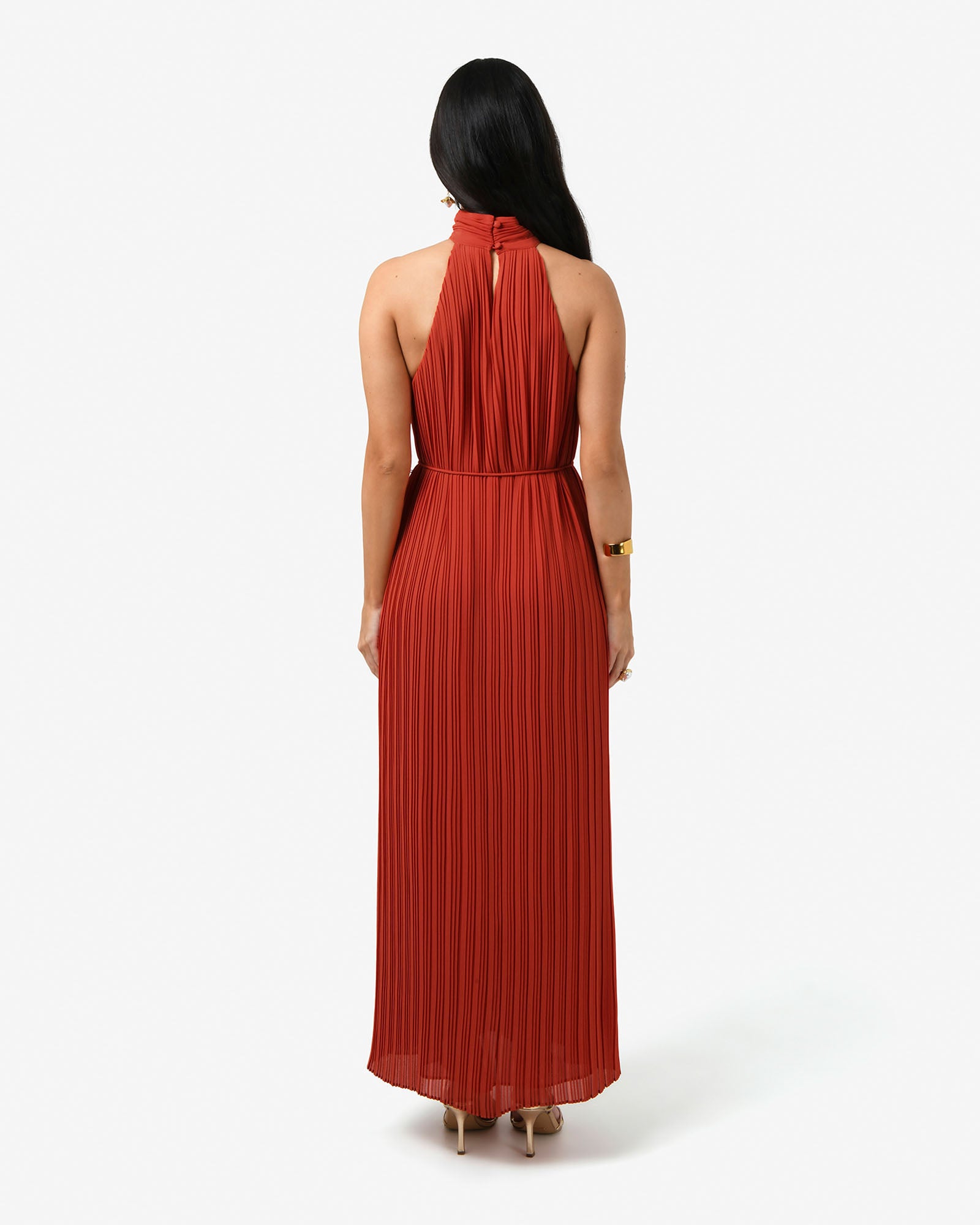 Shelly Chiffon Pleated Dress