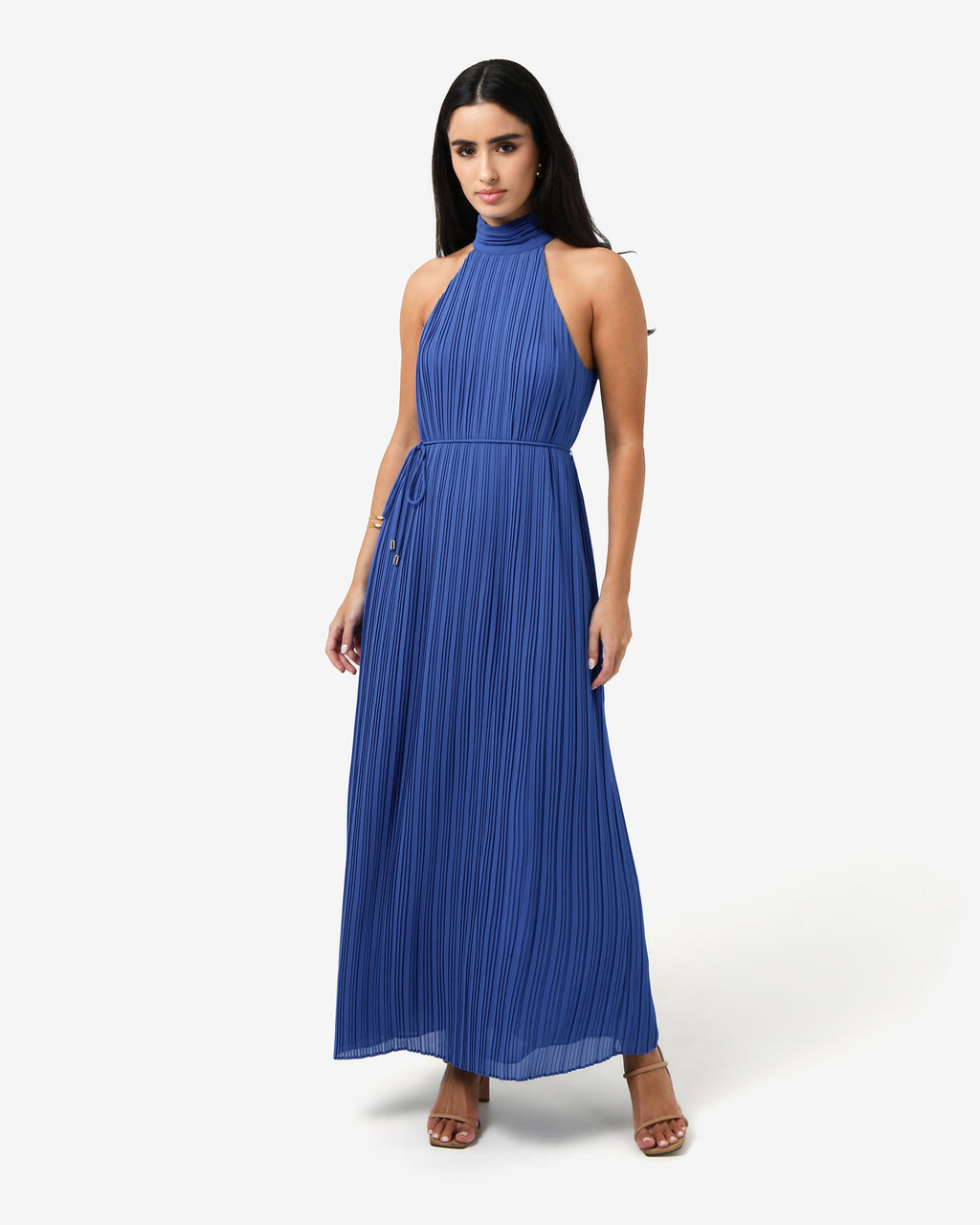Shelly Chiffon Pleated Dress