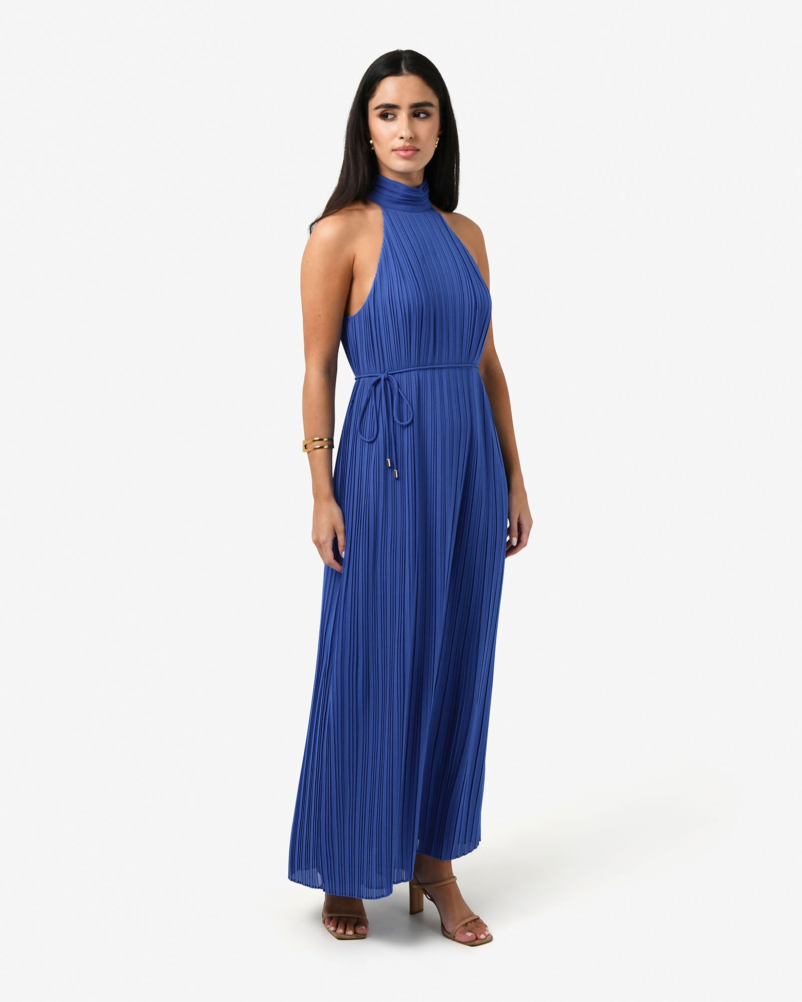 Shelly Chiffon Pleated Dress