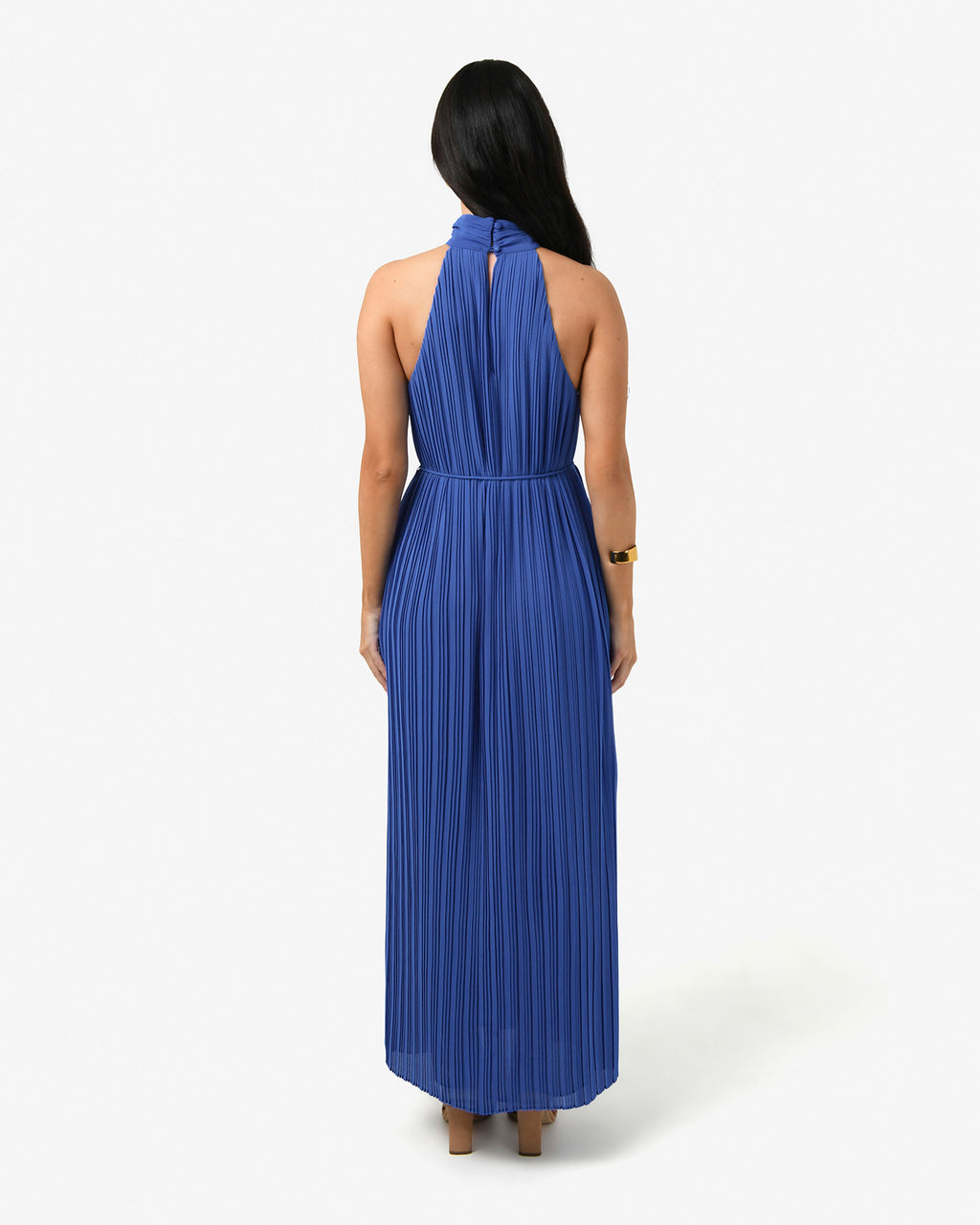 Shelly Chiffon Pleated Dress