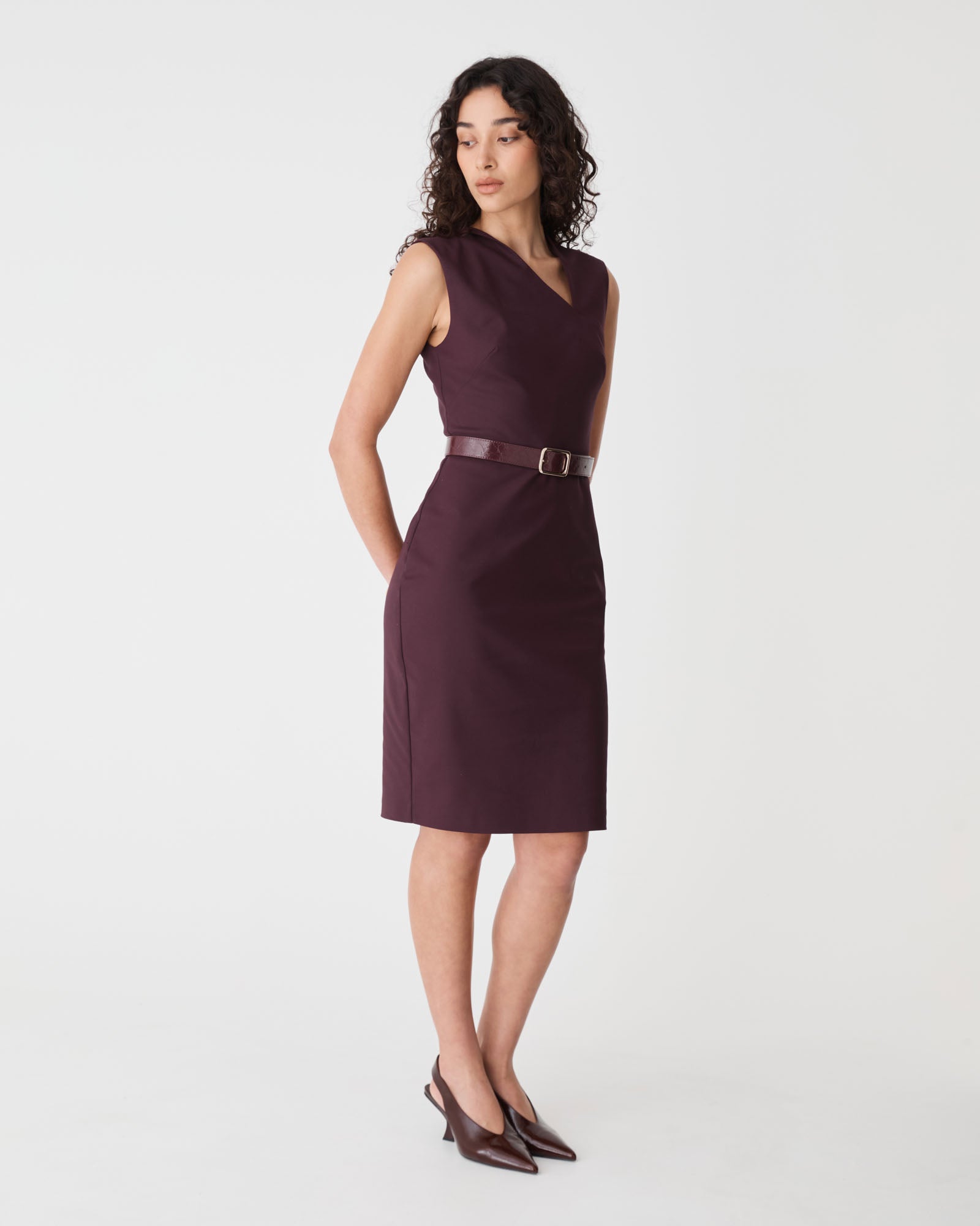 Fiona Asymmetric Pencil Dress