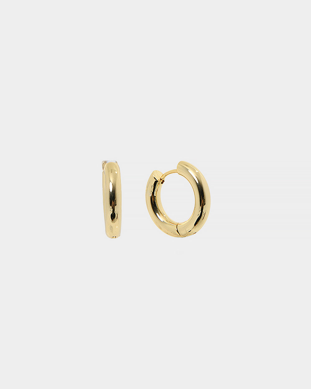 Amie 16k Gold Plated Earrings