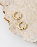 Vania 16k Gold Plated Earrings
