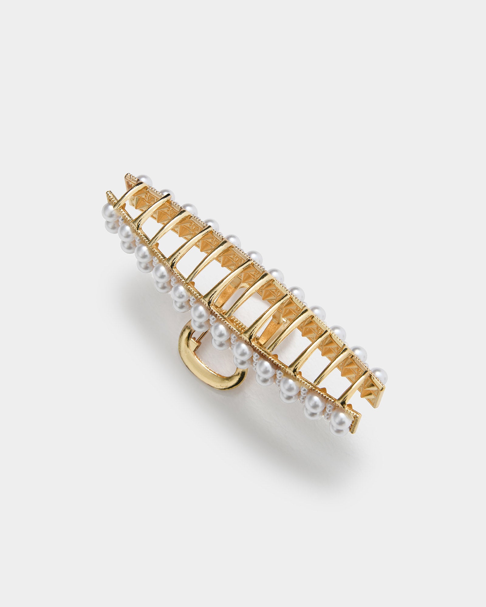 Alexandra 2 PC Hair Claw Set